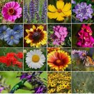 1200+ Seeds ALL PERENNIAL Wild Flower Mix. Pollinator Food, Garden Heirloom