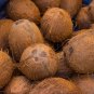 Nature's Coco Shells/coconut shells