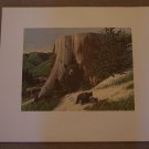 JACK DUMAS MOTHER BEAR & CUBS 20 X 22 3/4 WEYERHAUESER WILDLIFE 1960'S