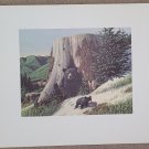 Jack Dumas Mother Bear & Cubs 20 X 22 3/4 Weyerhaueser Wildlife 1960'S Art Print Jack Dumas Mother Bear & Cubs 20 X 22 3/4 Weyerhaueser Wildlife 1960'S Art Print
