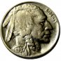 1937 D Five Cent 3 Leg Buffalo Nickel (Regular Strike) Rare & Saught After COPY Coin