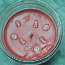 Peppermint Bark - Hand made