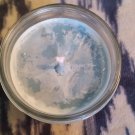 Winter Vanilla- Home made