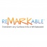 RemarkableWhiteboardPaint