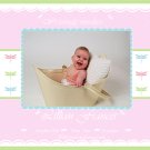 Customizable Brith Announcements: Dragonfly