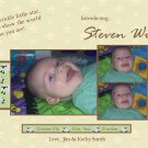 Customizable Brith Announcements: Twinkle