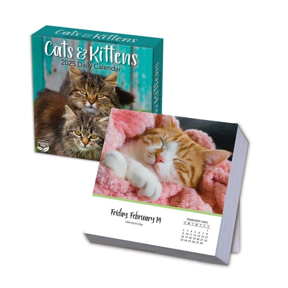 Cats And Kittens 2025 Desk Calendar Kitten Calendar 2025