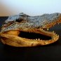 Alligator head 7" unique collectible taxidermy strange preserved vintage