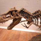 Tyrannosaurus Rex T-Rex model skeleton puzzle science learning teaching tool dinosaur fossil
