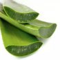 Green Leaf Pure Aloe Vera Skin Gel, 500gm