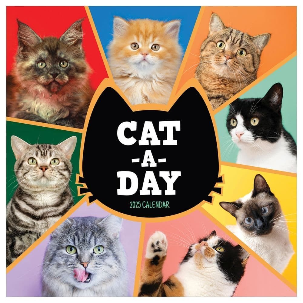 Cat A Day 2025 Wall Calendar