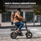 Folding Electric Bike