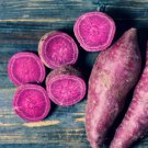 4 Purple Majesty Sweet Potato Slips Organic purple sweet potato USA Seller