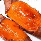 10 Sweet Potato Slips Plants Beauregard Sweet Potato Cutting Ready To Plant USA Seller