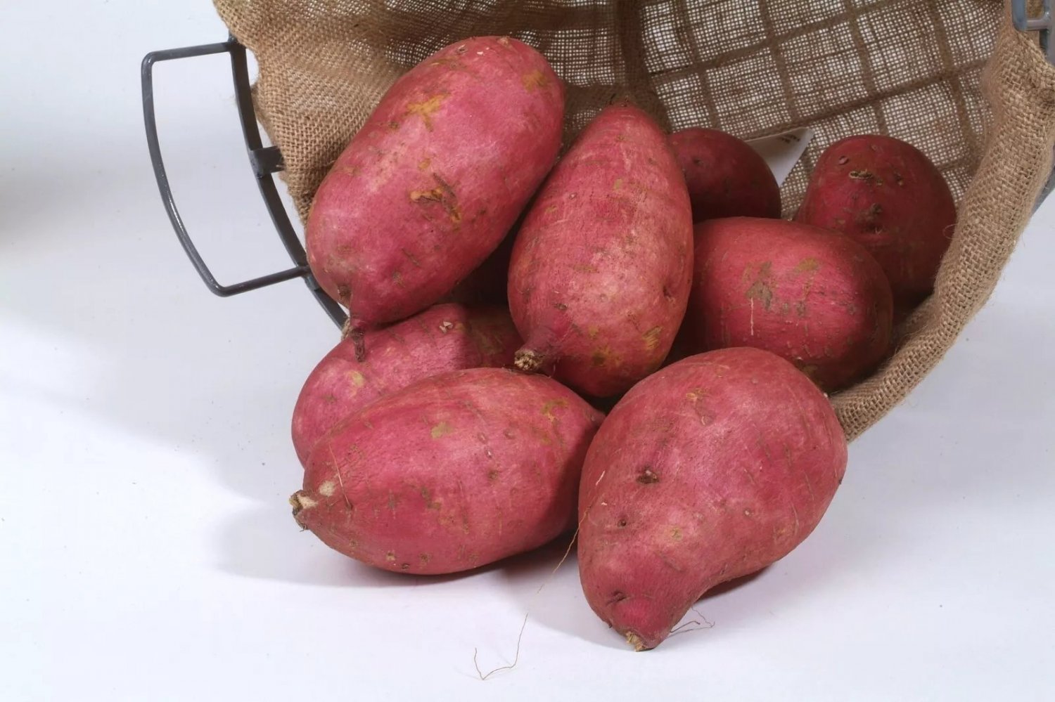 10 Sweet Potato Slips Plants - Murasaki - Japanese - Non GMO & Chemical Free USA Seller