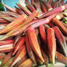 50 Jing Orange Okra Abelmoschus Esculentus Yellowflwr Red Orange Vegetable Seeds Garden USA Fast Shi