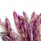 50 Dragon Tongue Wax Bean Yellow Purple Phaseolus Vulgaris Vegetable Seeds Garden USA Fast Shipping