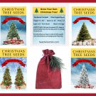 Grow Your Own Christmas Tree Collection 4 Gift Packets Of Tree Seeds Giftbag Garden USA Fast Shippin