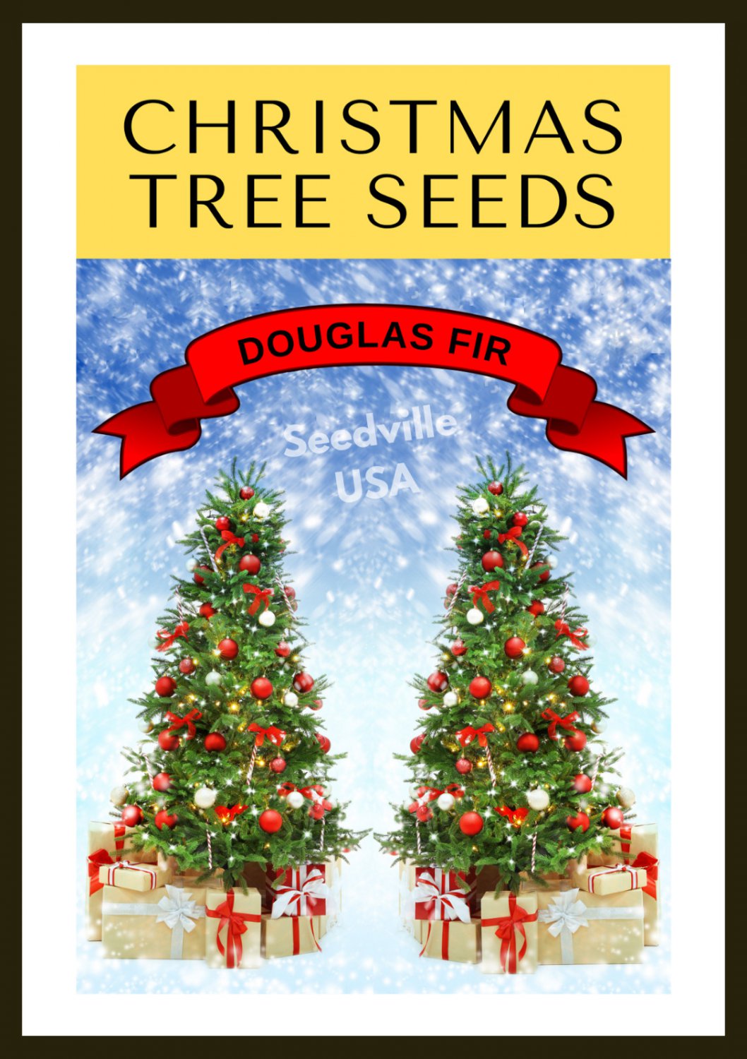 Grow Your Own Christmas Tree Douglas Fir Pseudotsuga Menziesi Gift Seed Packet Garden USA Fast Shipp