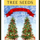 Grow Your Own Christmas Tree Douglas Fir Pseudotsuga Menziesi Gift Seed Packet Garden USA Fast Shipp