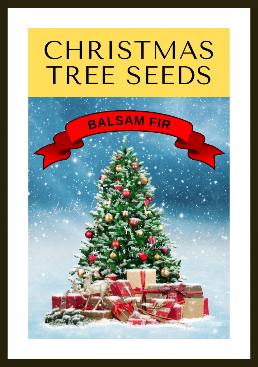 Grow Your Own Christmas Tree Balsam Fir ( Abies Balsamea Gift Seed Packet Garden USA Fast Shipping