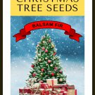 Grow Your Own Christmas Tree Balsam Fir ( Abies Balsamea Gift Seed Packet Garden USA Fast Shipping