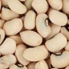 100 Texas Cream Cow Pea Southern Pea Bush Vigna Unguiculata Vegetable Seeds Garden USA Fast Shipping