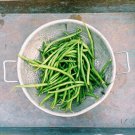 50 Slenderette Green Bean French Stringless Phaseolus Vulgaris Vegetable Seeds Garden USA Fast Shipp