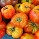 50 Oaxacan Jewel Tomato Bicolor Golden Yellow Striped Red Lycopersicon Seeds Garden USA Fast Shippin