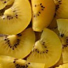 50 Golden Kiwi Fruit Yellow Actinidia Chinensis Kiwifruit Gooseberry Vine Seeds Garden USA Fast Ship