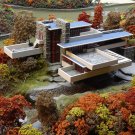 50 Seafoam Zeechium Teloxys Aristata Model Miniatures Sea Foam Red Flower Seeds Garden USA Fast Ship