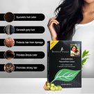 Shahnaz Husain Colourveda Natural Hair Colour (BLACKISH BROWN) X Pack of 2 Shahnaz Husain Colourveda Natural Hair Colour (BLACKISH BROWN) X Pack of 2