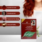 Shahnaz Husain Colourveda Natural Hair Colour | 100g (BURGUNDY) Shahnaz Husain Colourveda Natural Hair Colour | 100g (BURGUNDY)
