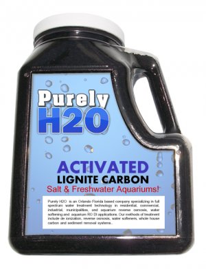 2 Lbs Lignite Carbon