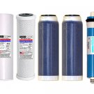 Optima Vision Dual DI Filter Set W/Membrane