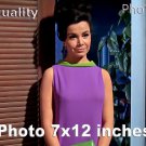 Annette Funicello Thunder Alley PHOTO HQ 12x7 inches #03