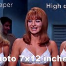 Jacki Ray Diane Bond Mary Michael In Like Flint PHOTO HQ 12x7 inches #01 Jacki Ray Diane Bond Mary Michael In Like Flint PHOTO HQ 12x7 inches #01