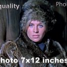 Julie Christie Doctor Zhivago PHOTO HQ 12x7 inches #10 Julie Christie Doctor Zhivago PHOTO HQ 12x7 inches #10