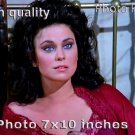 Delta Burke The FALL GUY PHOTO HQ 10x7 inches #07