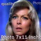 Lana Turner The Big Cube PHOTO HQ 11x7 inches #15