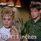 Sandra Dee TAMMY Tell Me True PHOTO HQ 11x7 inches #36 Sandra Dee TAMMY Tell Me True PHOTO HQ 11x7 inches #36