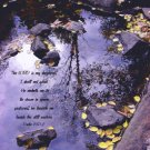 Tree Relfection**8"x10" Matted Origianl Photo**Psalm 23:1-2