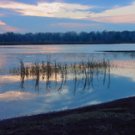 Boston Pond Sunrise**8"x10" Matted Original Photo