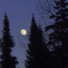 Moon Night**8"x10" Matted Original Photo