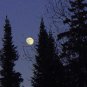 Moon Night**8"x10" Matted Original Photo