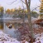 Rice Lake Winter**8"x10" Matted original Photo