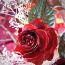 Sensual Rose**8"x10" Matted original Photo