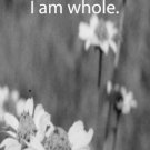 Daisies***inspirational