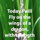 Dragonfly**inspirational