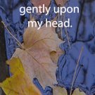Eagle River-Fall leaves***inspirational